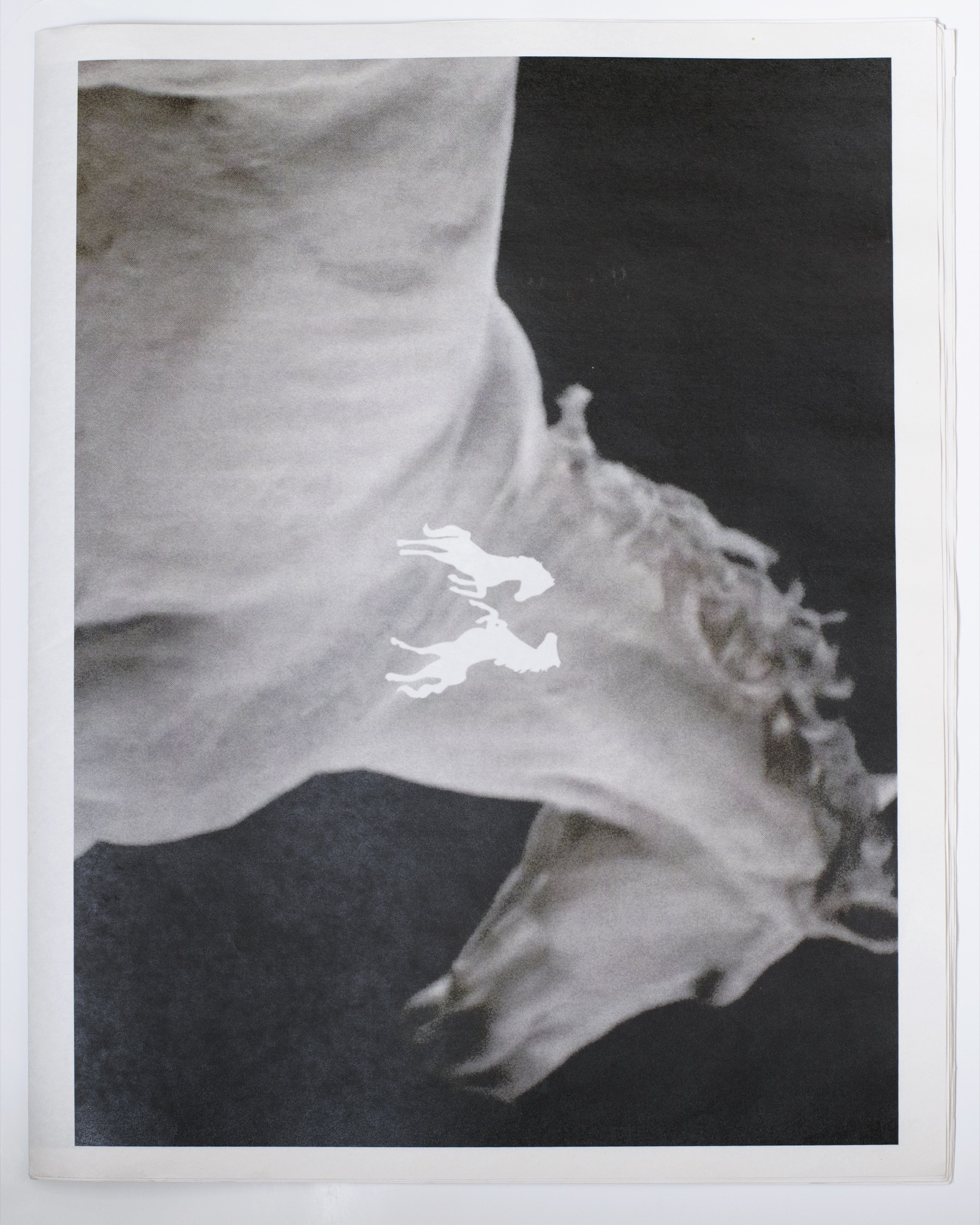 Newspaper 01 by Laura Epsom